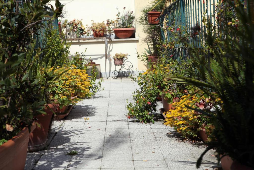 Stella Elsa Hotel Rome Exterior photo